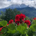 Domek alpejski Bajkowy *