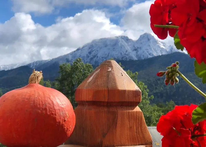 Bajkowy シャレー