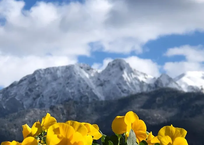 シャレー Bajkowy コシチェリスコ